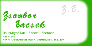 zsombor bacsek business card